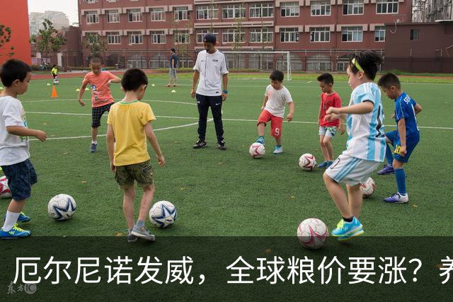 厄尔尼诺发威，全球粮价要涨？养殖端已经开始算帐了，大家还是多存钱吧