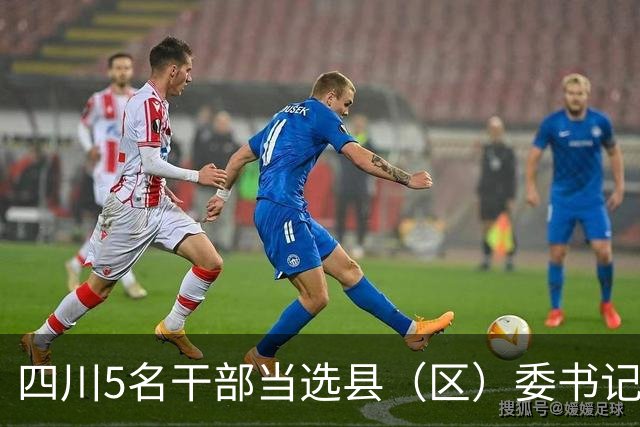 四川5名干部当选县（区）委书记