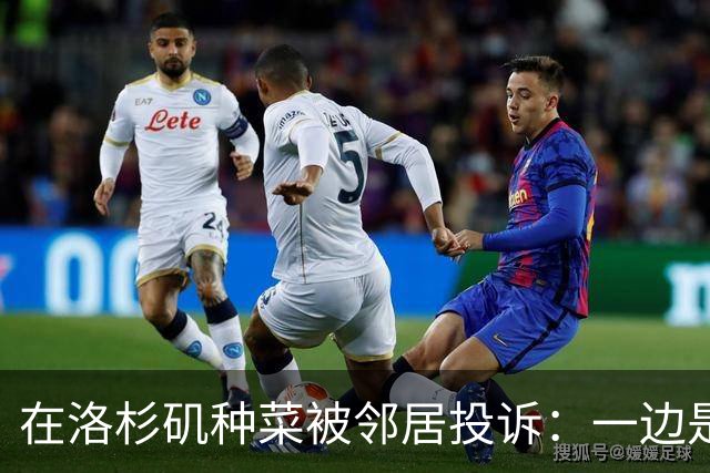 在洛杉矶种菜被邻居投诉：一边是中国人的乡愁，一边是美国人的规矩