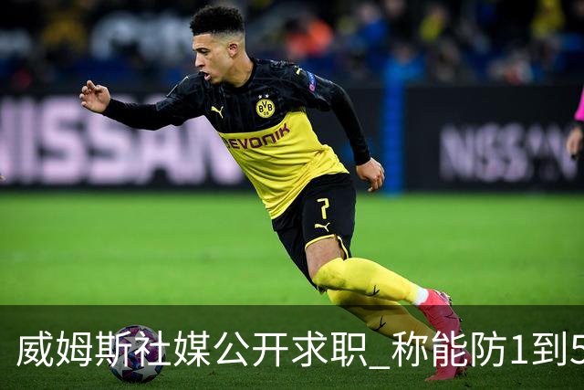 威姆斯社媒公开求职 称能防1到5号位