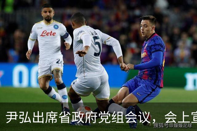 尹弘出席省政府党组会议，会上宣布省委关于省政府党组书记任职的决定