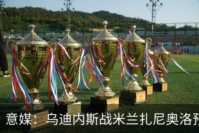 意媒：乌迪内斯战米兰扎尼奥洛预计会归队并担任替补
