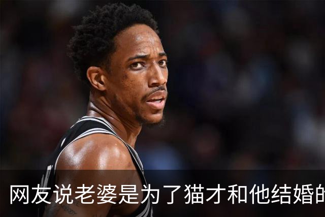 网友说老婆是为了猫才和他结婚的，本来不信，直到看他晒出的聊天记录