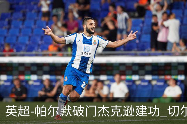 英超-帕尔默破门杰克逊建功 切尔西2-1纽卡斯尔