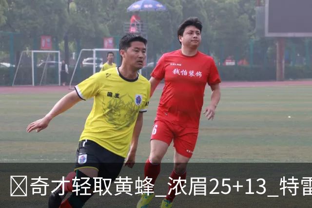 🏀奇才轻取黄蜂 浓眉25+13 特雷·杨21+7+9 状元迪班萨17+8
