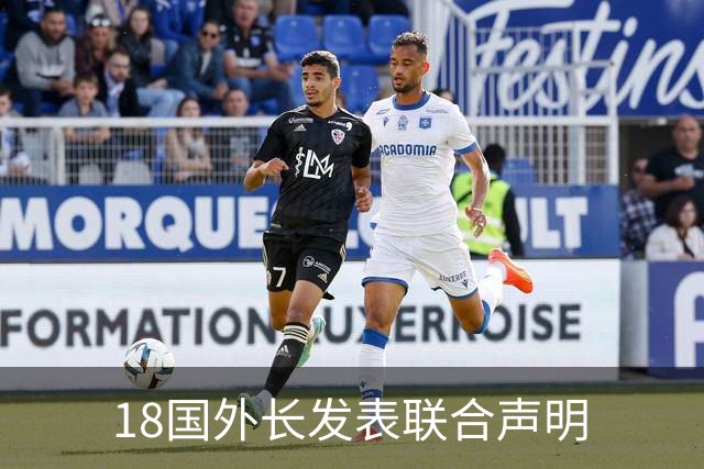 18国外长发表联合声明