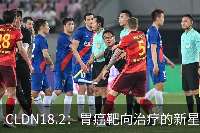 CLDN18.2：胃癌靶向治疗的新星——从生物学基础到临床转化